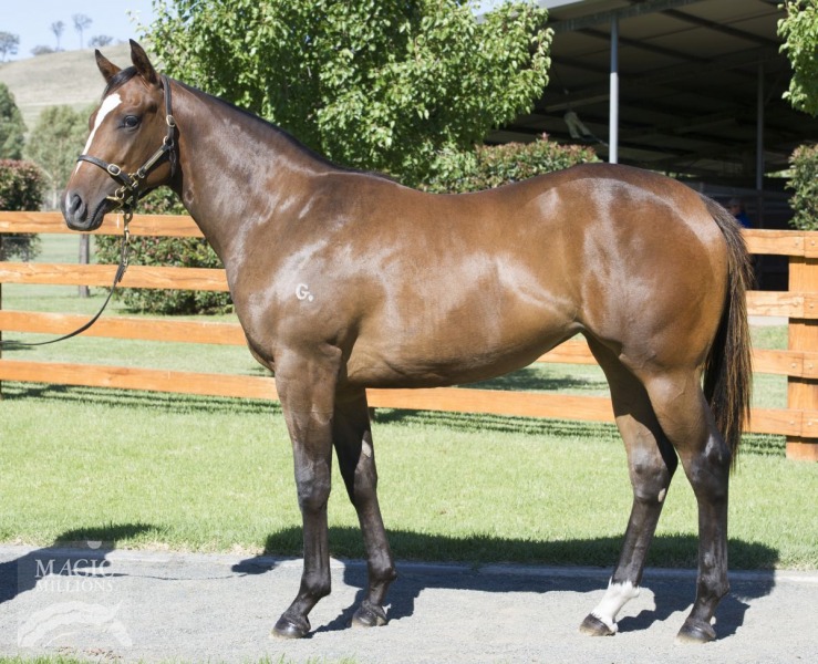 La Renarde (AUS) - photo 1