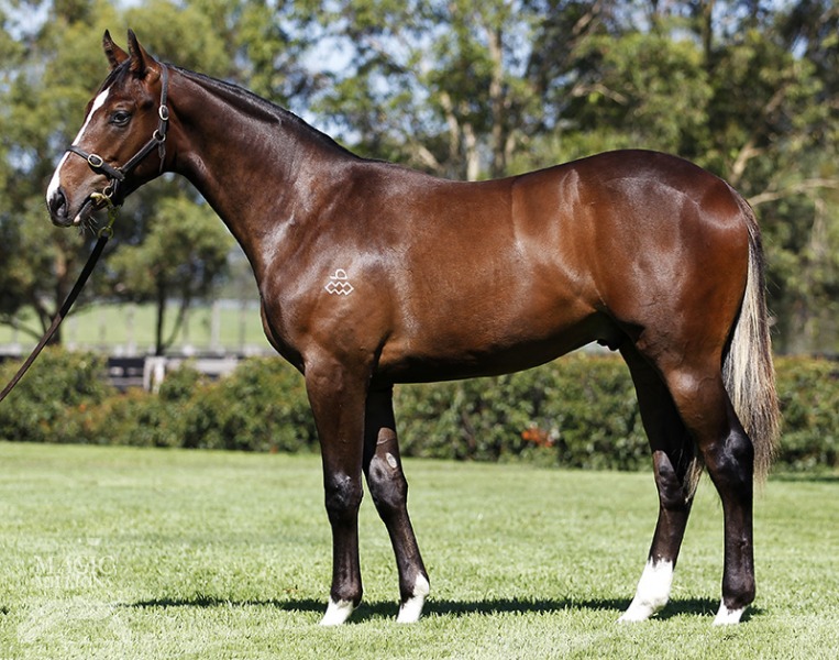 Smartson (AUS) - photo 1