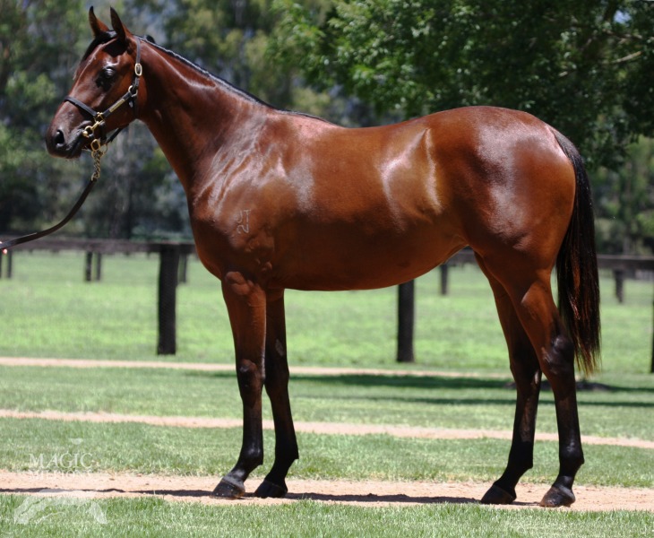 Fire Flight (AUS) - photo 1