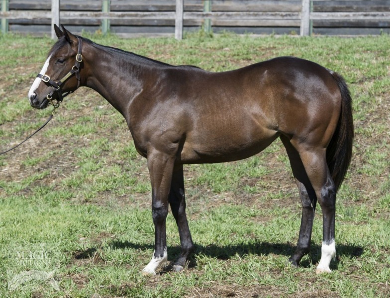 Mica Lil (AUS) - photo 1