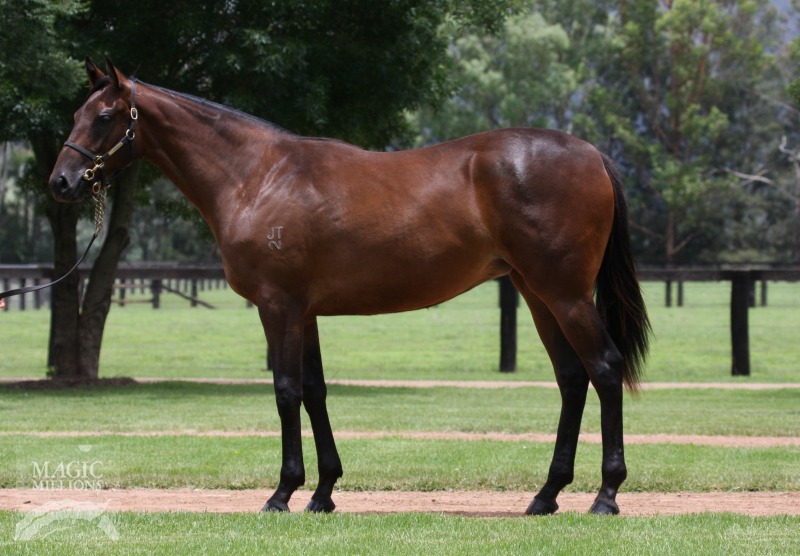 Daphne Dynamite (AUS) - photo 1