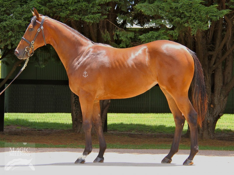 Mousai (AUS) - photo 1