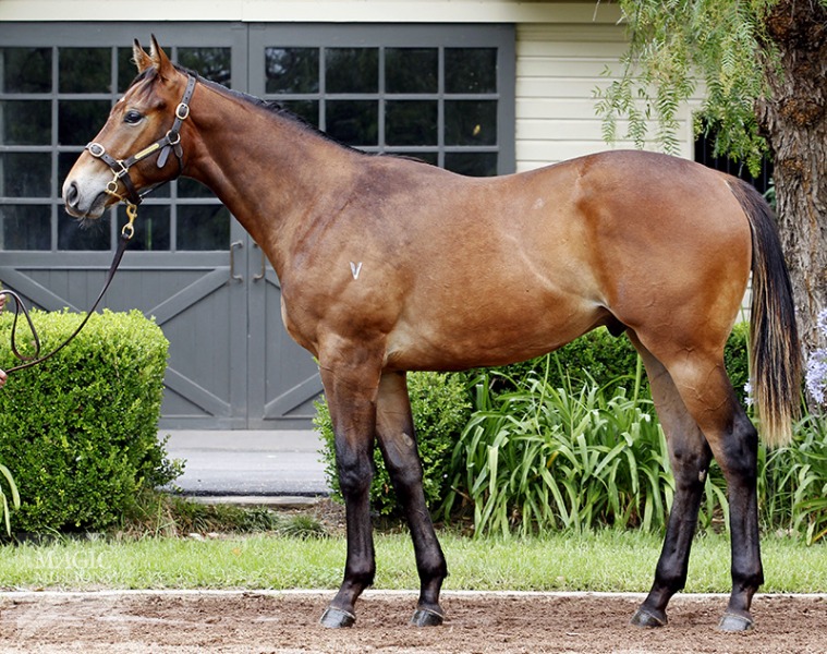 Tenappy Ladies (AUS) - photo 1