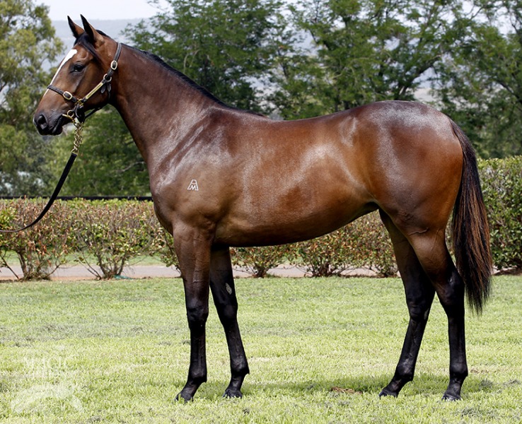 Terre Verde (AUS) - photo 1