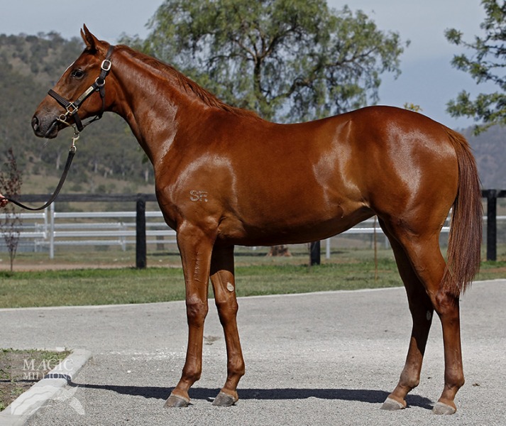 Canberra (AUS) - photo 1