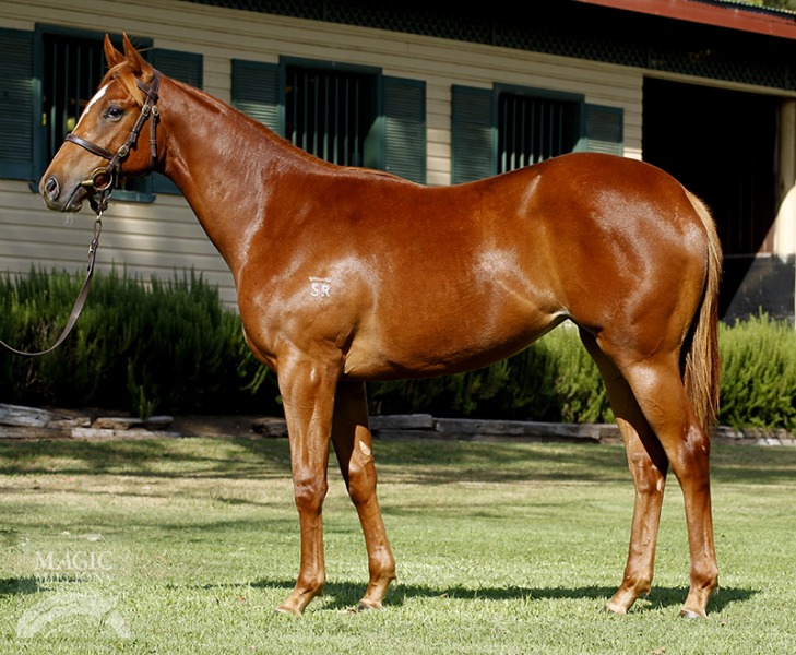 Almost Tempted (AUS) - photo 1