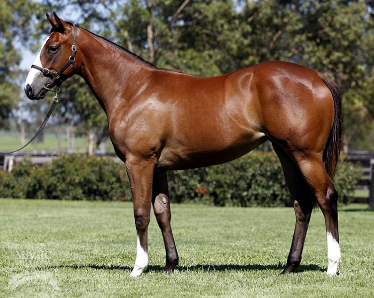 Slumber Party (AUS) - photo 1