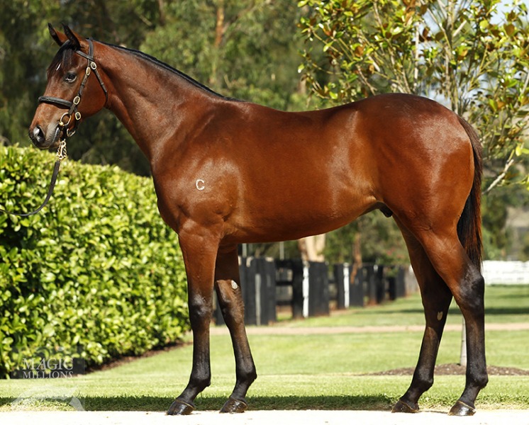 Milwaukee (AUS) - photo 1