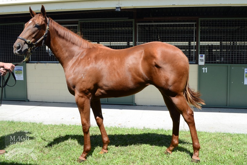 Spring Glory (AUS) - photo 1