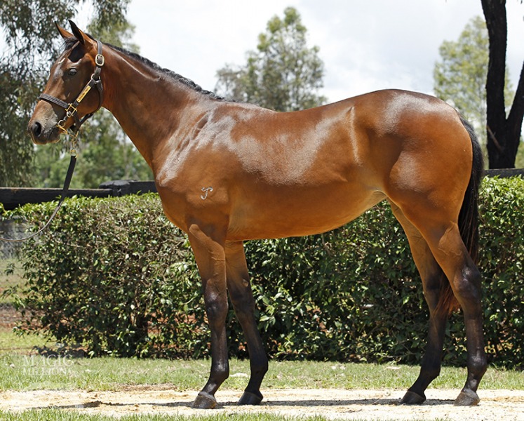 I'll Decide (AUS) - photo 1