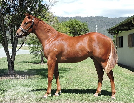 Ephriam (AUS) - photo 1