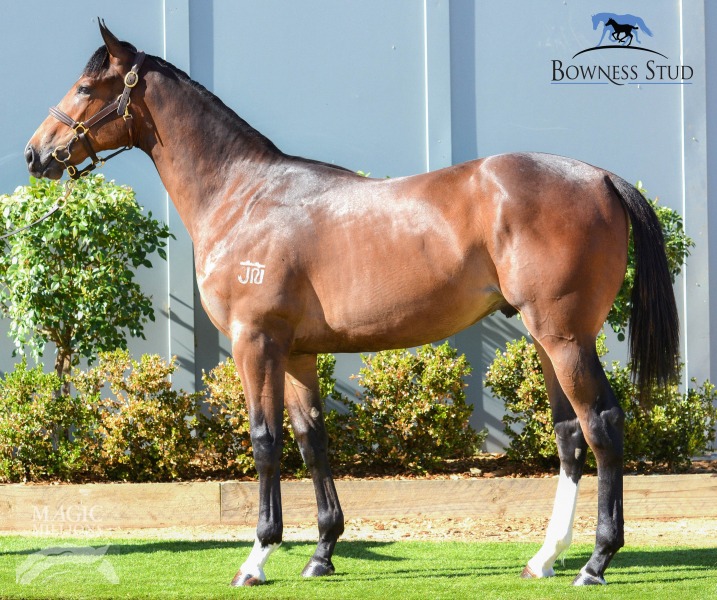 Gelug (AUS) - photo 1