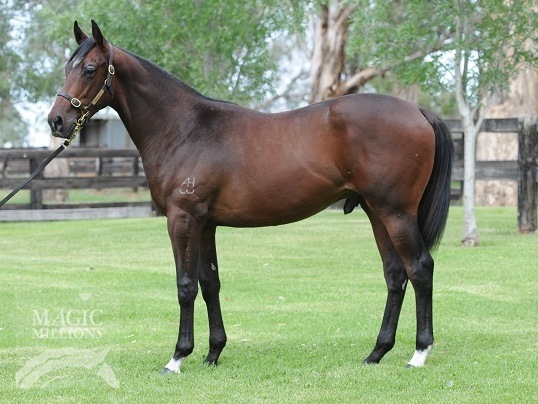 Grotteria (AUS) - photo 1