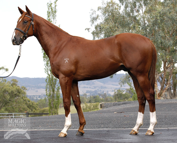 Pluck (USA) / It Had To Be You (AUS) - photo 1