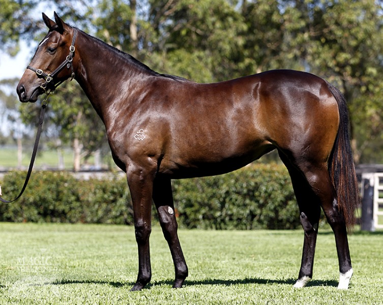 Gio Ponti (USA) / Jemison (AUS) - photo 1