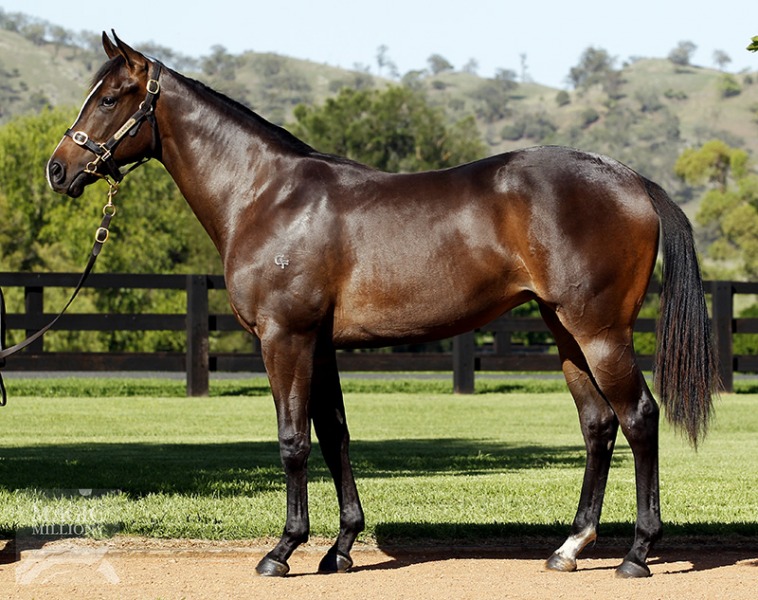 Woodditton (AUS) - photo 1