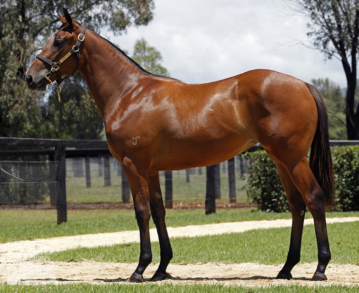 Sandcastles (AUS) - photo 1