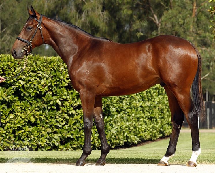 Rock With You (AUS) - photo 1