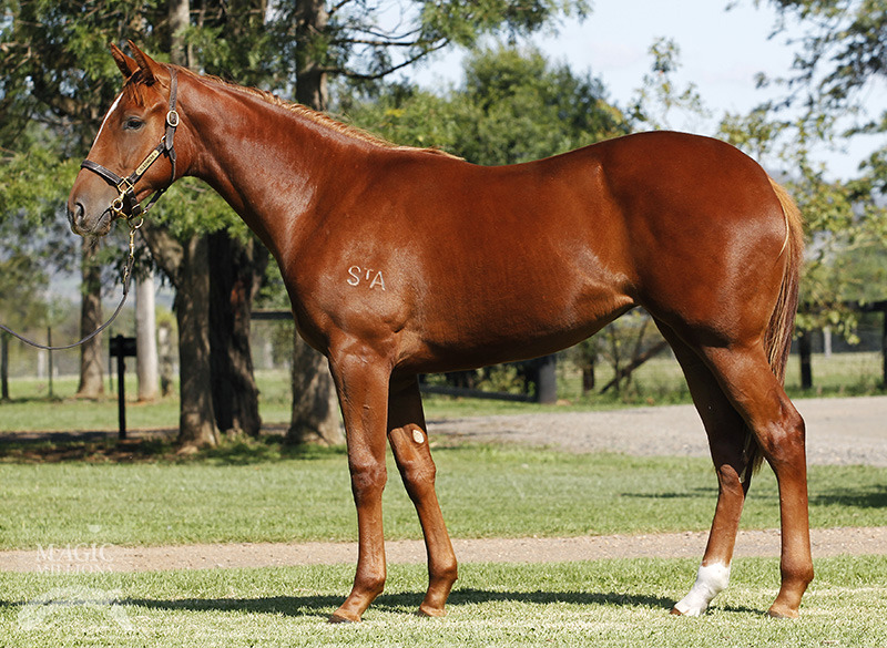 Endless Hope (AUS) - photo 1