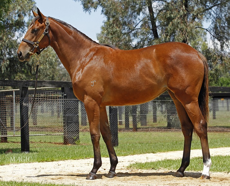 Lipstick Lover (AUS) - photo 1