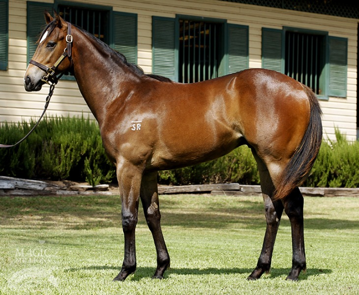 Pawn Talk (AUS) - photo 1