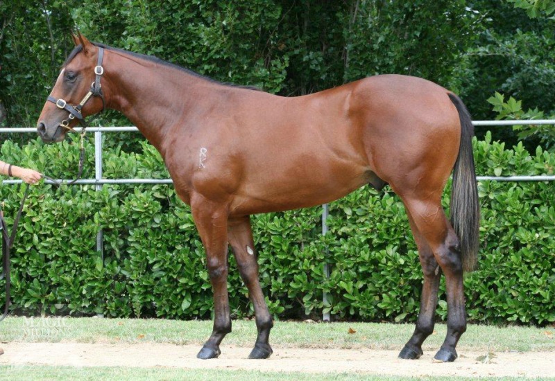 Hurricane Jack (AUS) - photo 1