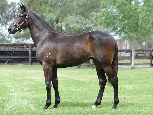 Lochnagar (AUS) - photo 1