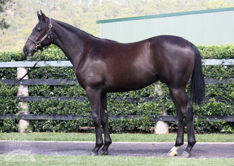 Saint Denis (AUS) - photo 1