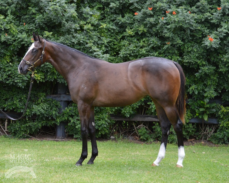 Medaglia d'Oro (USA) / Lady Jakeo (AUS) - photo 1