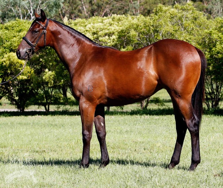 Could it be Magic (AUS) - photo 1