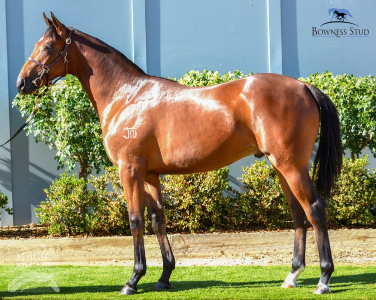 Butler Butler (AUS) - photo 1