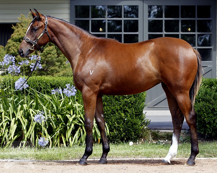 Lady Lee (AUS) - photo 1