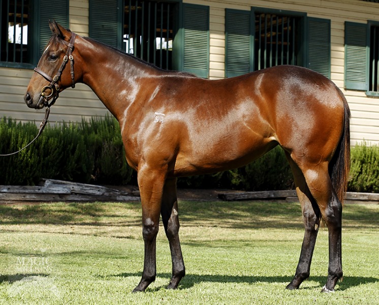 Miss Caprice (AUS) - photo 1