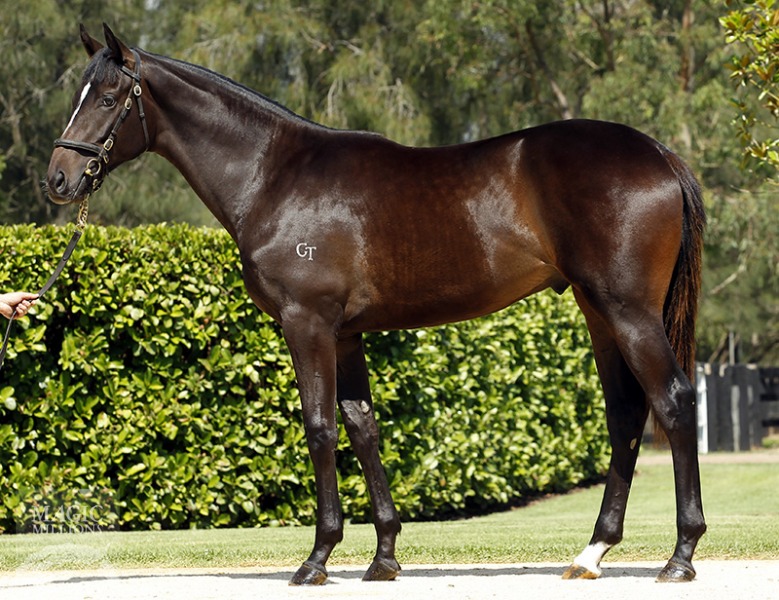 So You Think (NZ) / Little Diamond A (USA) - photo 1