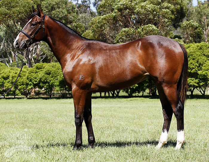 What Lizahead (AUS) - photo 1