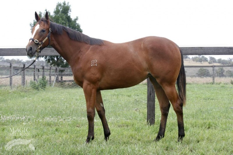 Faraway Town (AUS) - photo 1