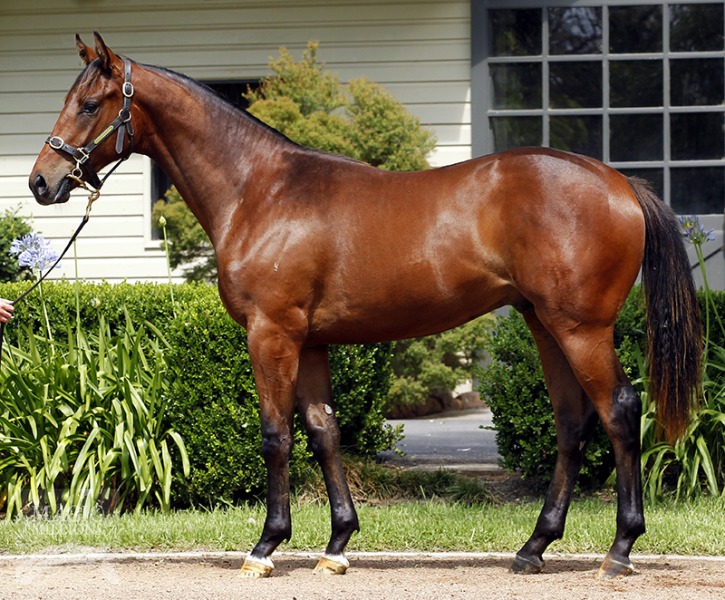 Just Thank Me (AUS) - photo 1