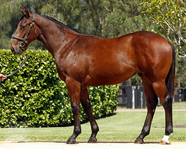 Plymouth Sound (AUS) - photo 1