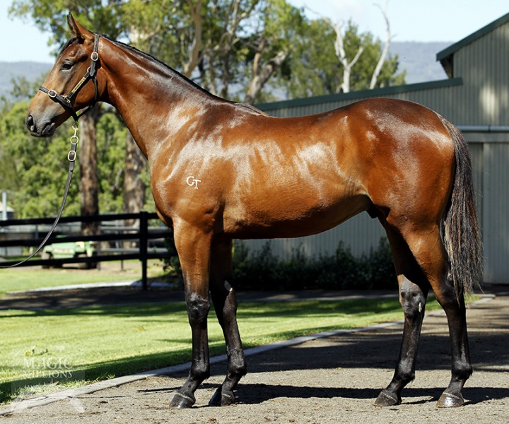 Bold Temptation (AUS) - photo 1