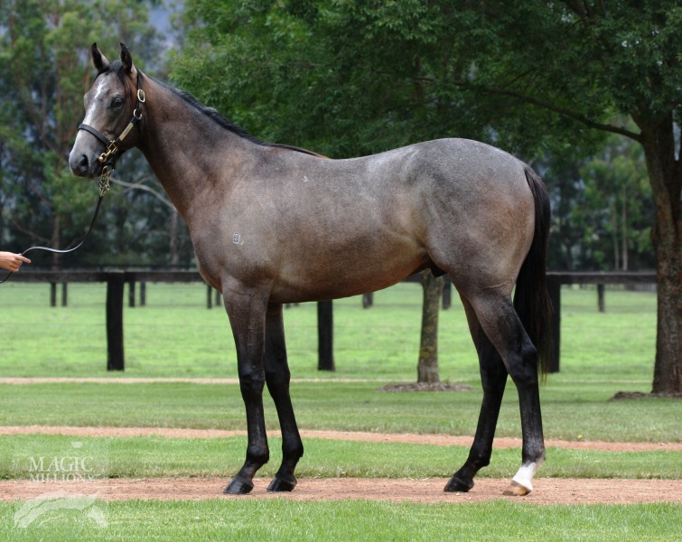 Spending To Win (AUS) - photo 1