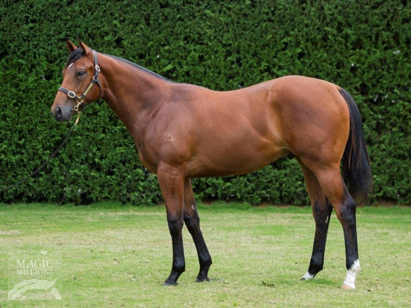 Claro El Banco (AUS) - photo 1