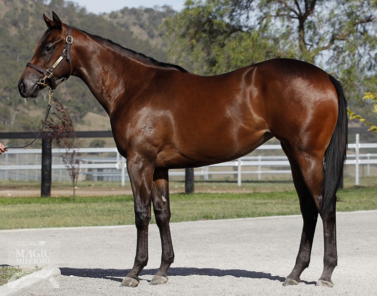 Munjai (AUS) - photo 1