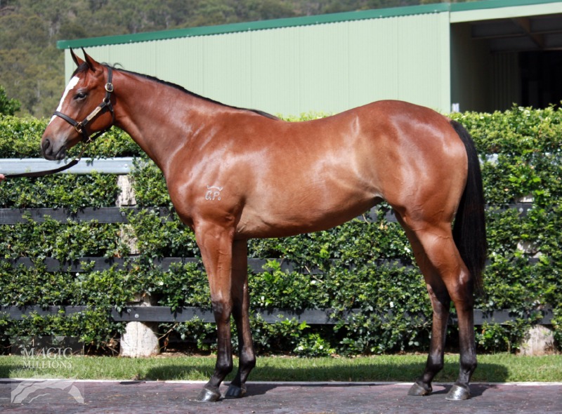 So You Think (NZ) / Mandawara (FR) - photo 1