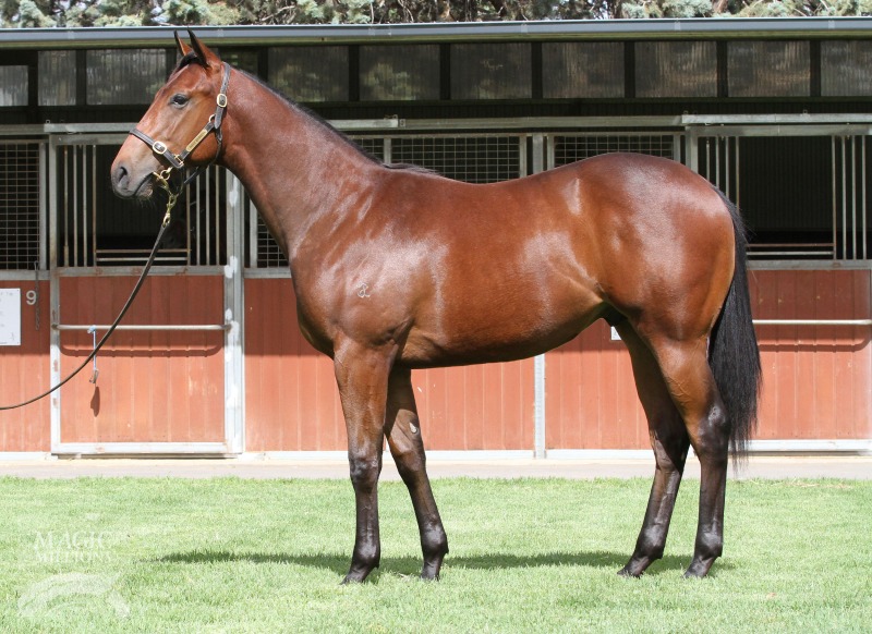 Port Bowler (AUS) - photo 1