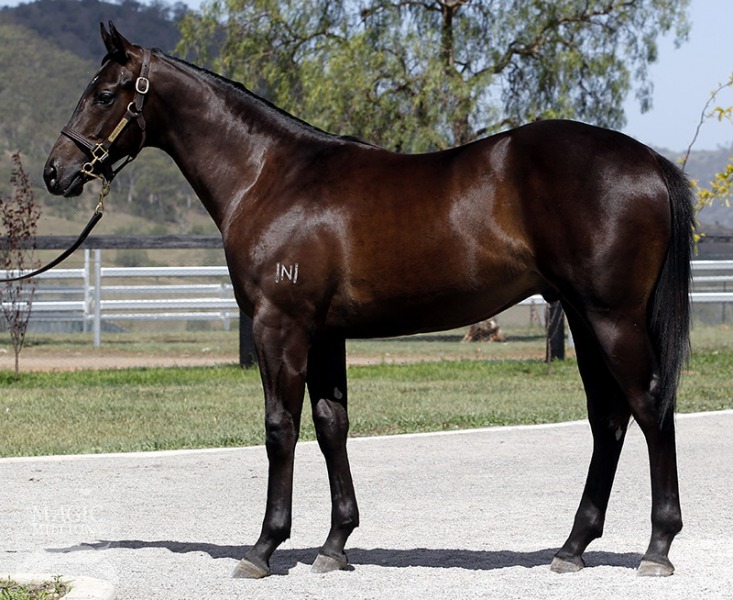 Ottawa (AUS) - photo 1