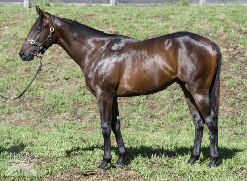 Meaner (AUS) - photo 1