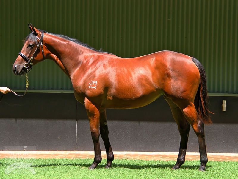 Flying Jess (AUS) - photo 1