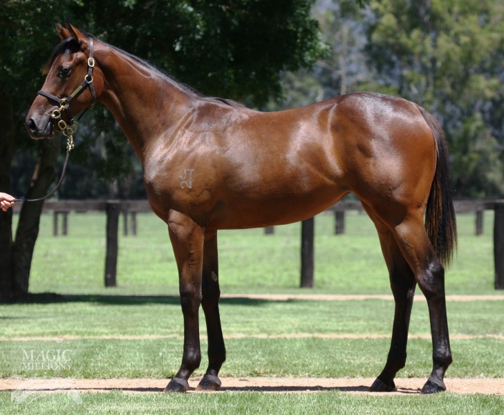 Let 'Em Howl (AUS) - photo 1