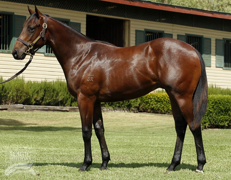 Patrol (AUS) - photo 1