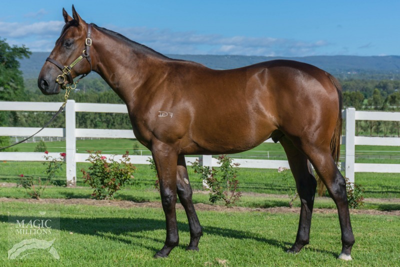 Sepae (AUS) - photo 1